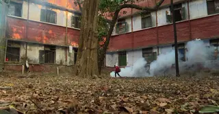 মাসের ব্যবধানে মশার ঘনত্ব বেড়েছে ৪০ শতাংশ, দুর্ভোগে জনজীবন